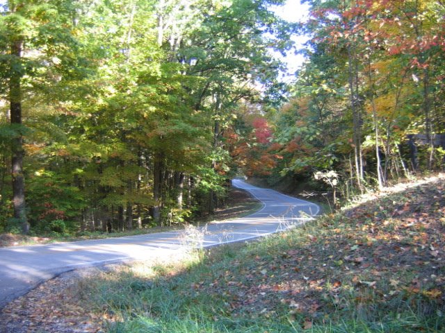 View Looking Northeast Down SR 45 From Lanam Ridge Road, Brown County by Councilman Anton Karl Neff