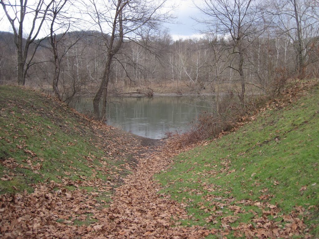 A gully on the bank of the potomac by midatlanticriverrat