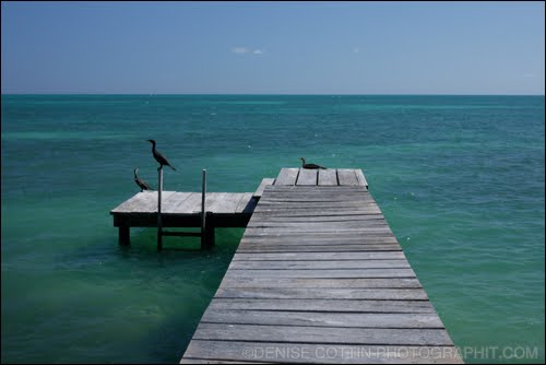 Saint George's Caye ~ Belize by ~ Denise Cottin ~