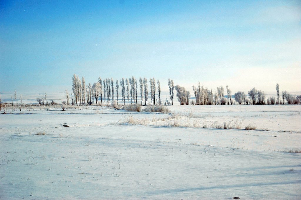 A view from between Karagol and Kangal train stations, Kangal, Sivas by Seref Halicioglu