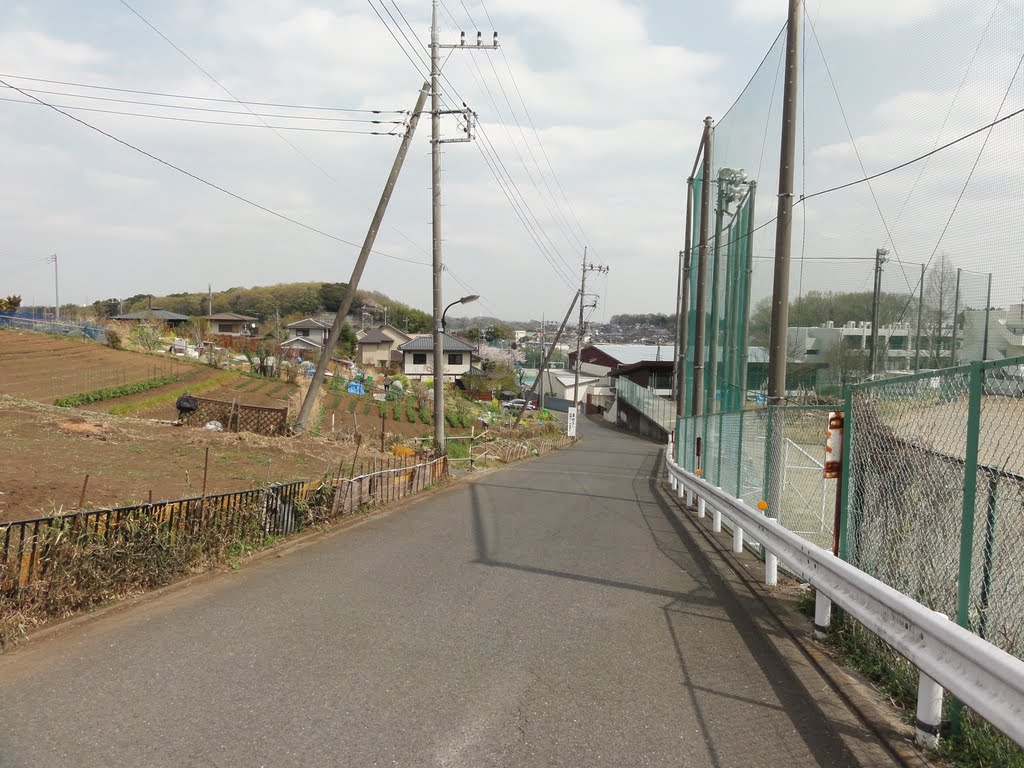 和光高校の横道 by maplefreak.tokyo