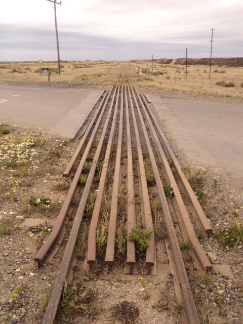 Güer Aike Department, Santa Cruz Province, Argentina by gusvion