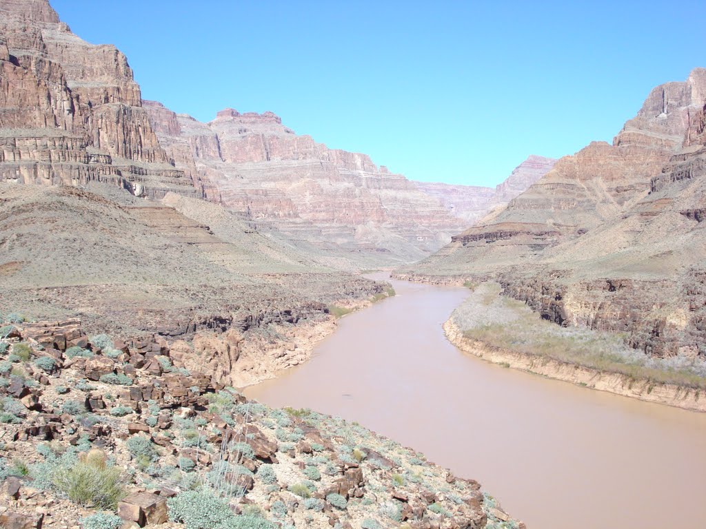 Colorado River by wmr36104