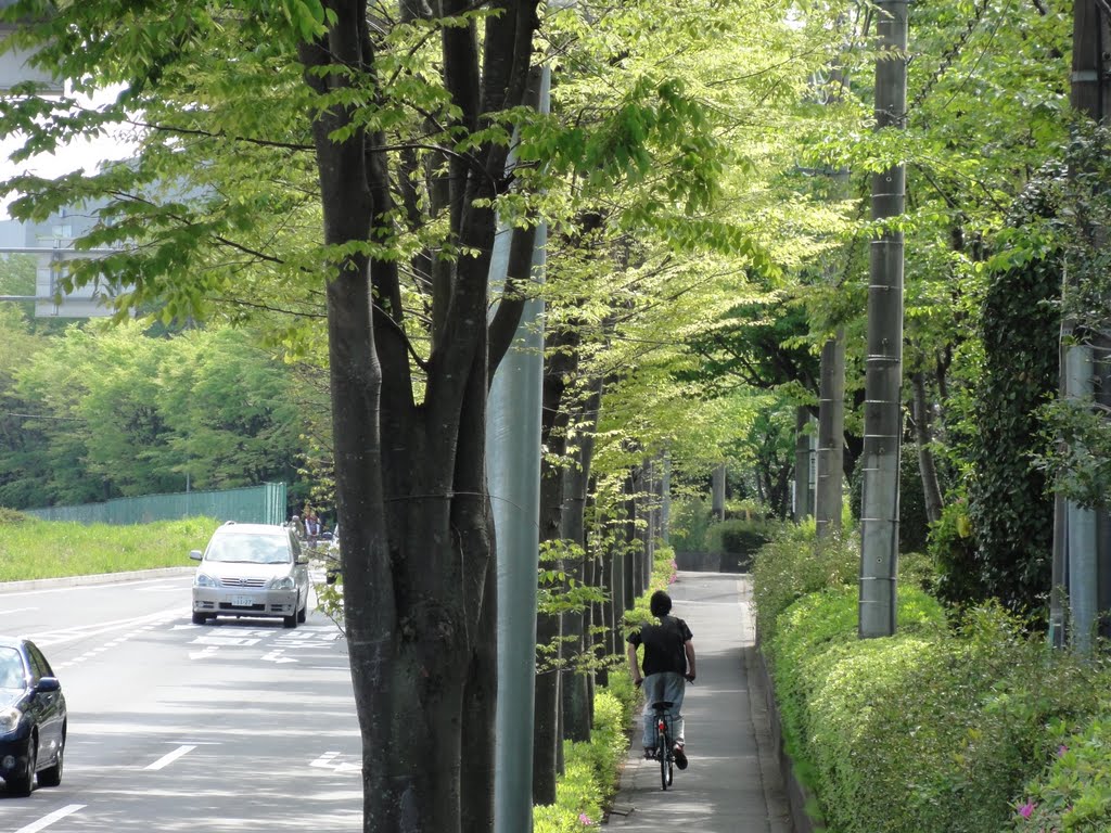 多摩市永山7丁目 by maplefreak.tokyo