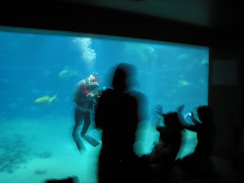 大水族館大阪・Osaka Aquarium Kaiyukan by ericM photography