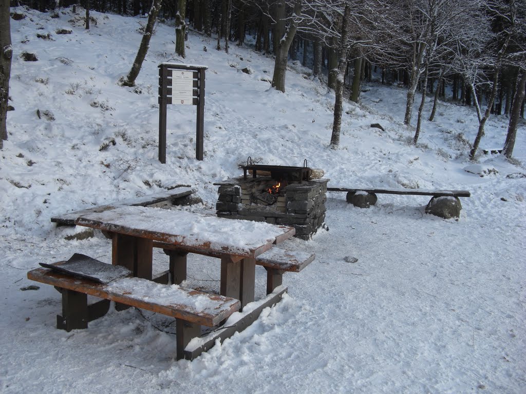 The restingplace in snowy december by Mona Lygre