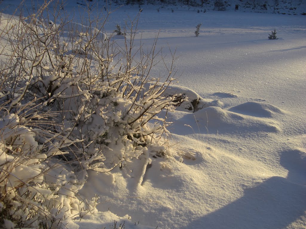 Much snow and last drops of sunshine by Mona Lygre