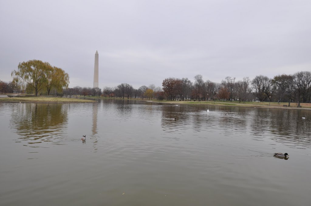 Constitution Gardens, Washington DC by Ser Viajero