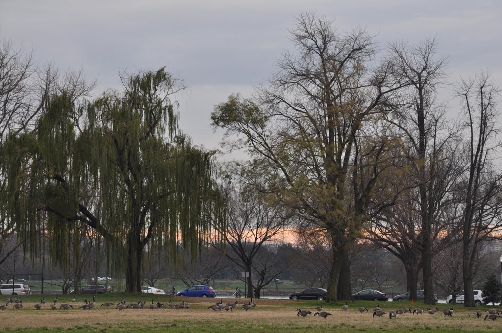 Atardecer en Washington by Ser Viajero