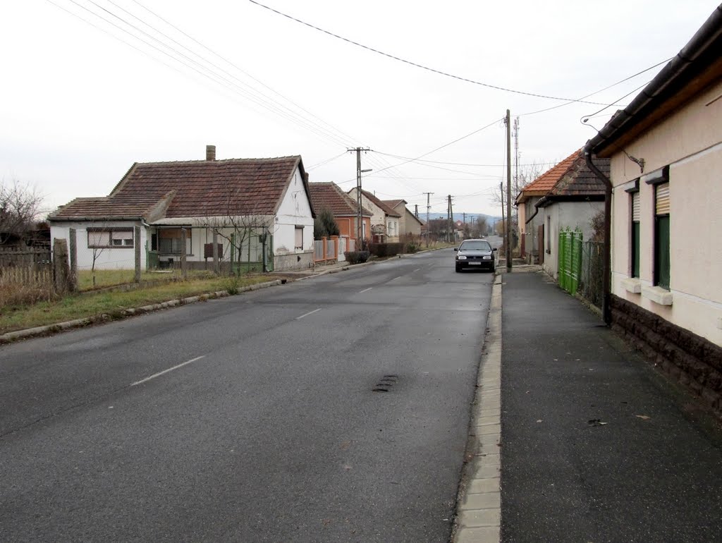 201112191220 Szerencs, Lőcse utca by Harmadik