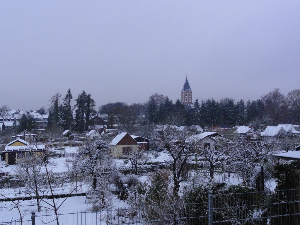 Der erste Schnee by Willi Prinz