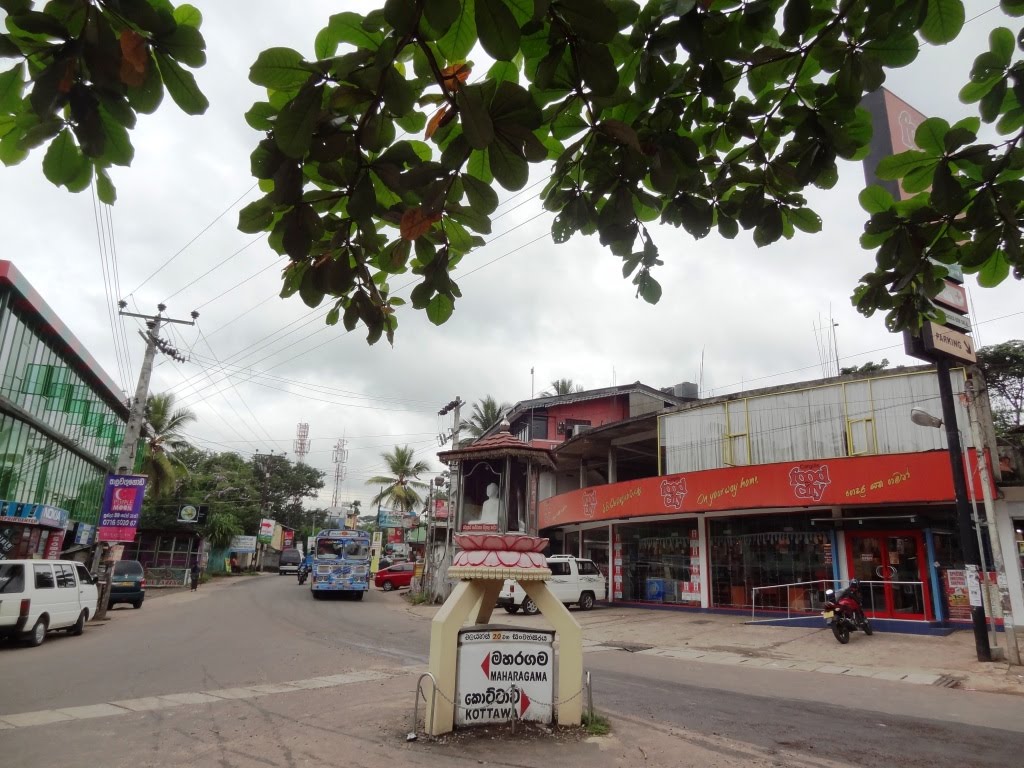 Hokandara South, Hokandara, Sri Lanka by Senanayaka Bandara