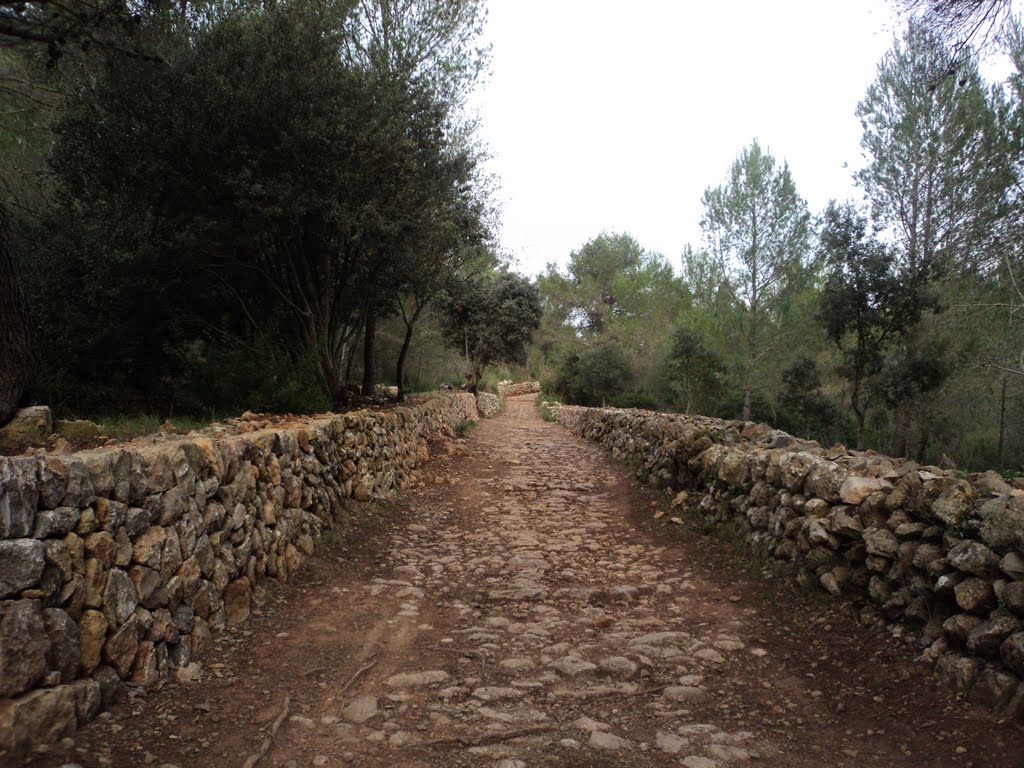 Camí des correu. Esporles. Mallorca by Luin Mena