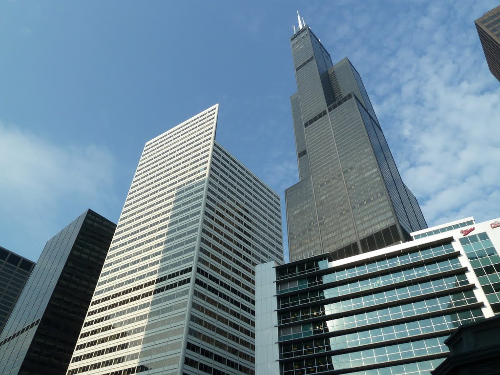 Sears Tower by s772