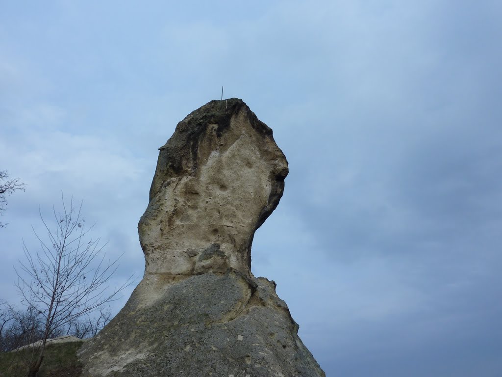 A siroki vár közelében by Cserven Tibor