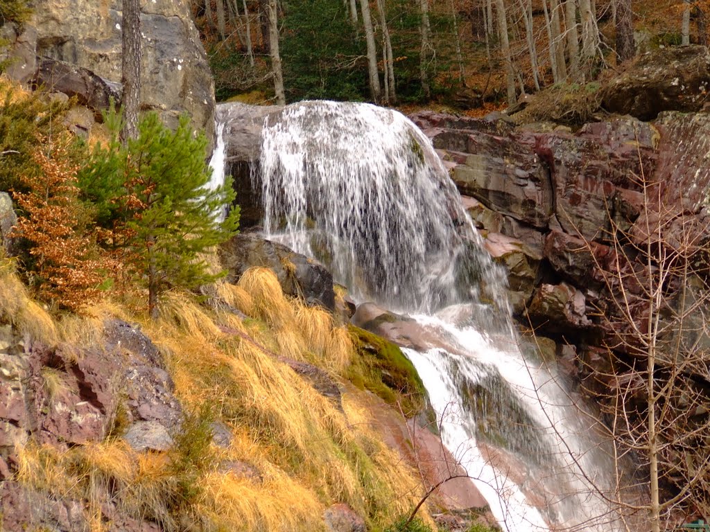 CASCADA LALLARRI PINETA by catavida