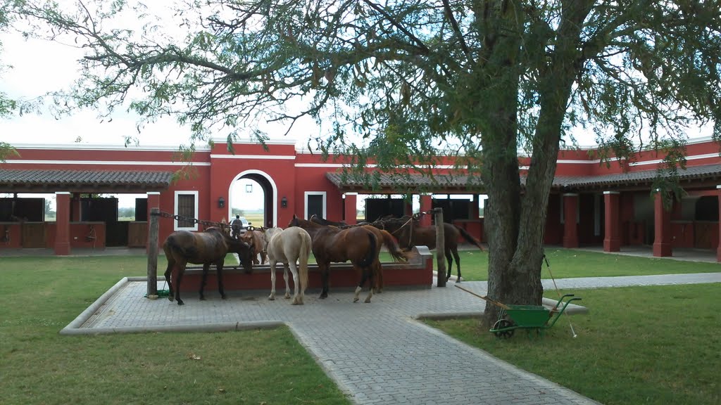 Caballerizas en Estancia La Bamba, San Antonio de Areco, Buenos Aires by SantiPlo77