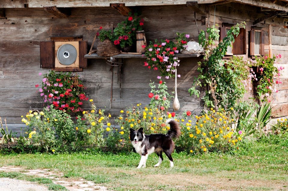 Čigoč, Croatia by Fabrika