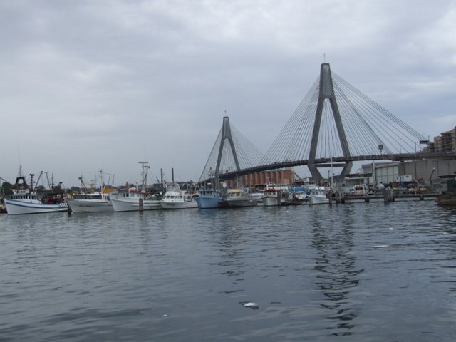 0493 Sydney, Glebe Bridge as seen from Fish Markets by Daniel Meyer