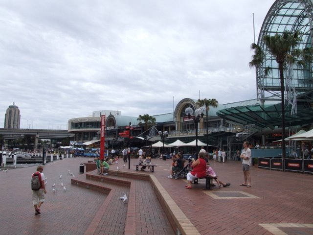 0495 Sydney, Darling Harbour by Daniel Meyer