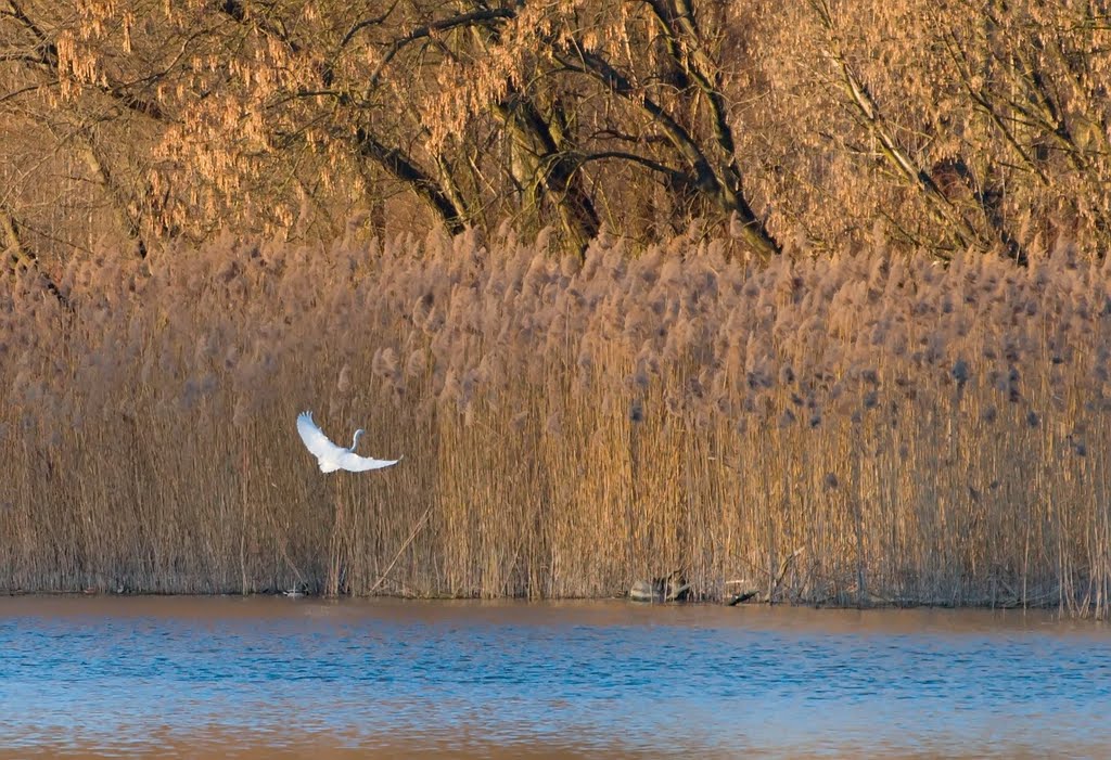 Dunasziget, Hungary by bodophoto