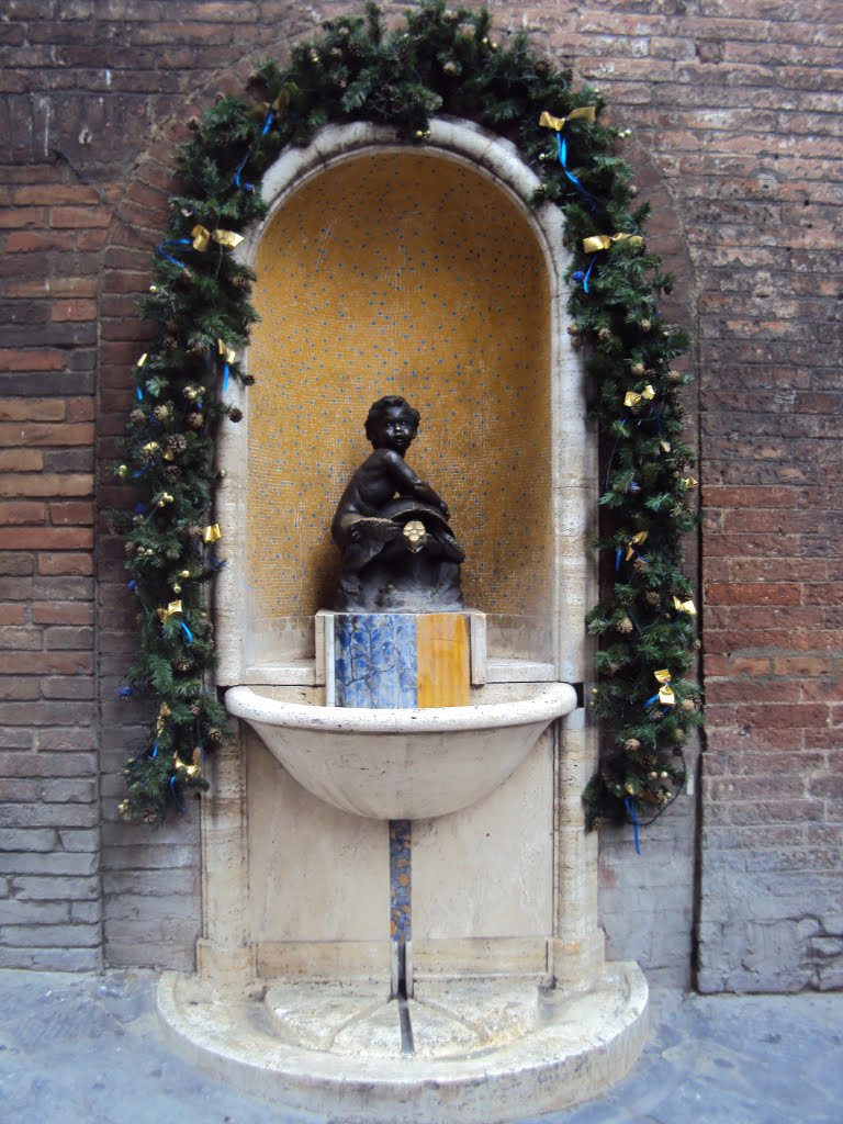 Fontana contrada della Tartuca by giramondo85