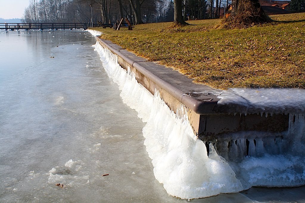 Winter, Wendisch Rietz by Andreas Scherf