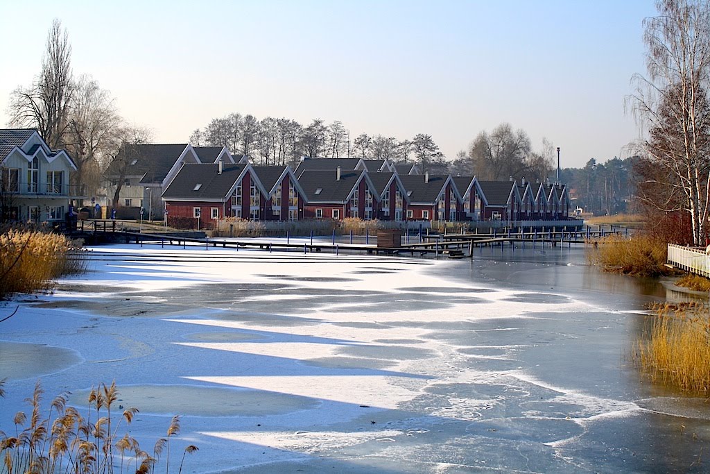 Winter, Wendisch Rietz by Andreas Scherf