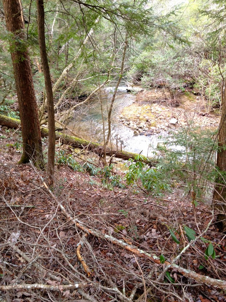 Access Trail to the Cable Trail by Jackson Reynolds