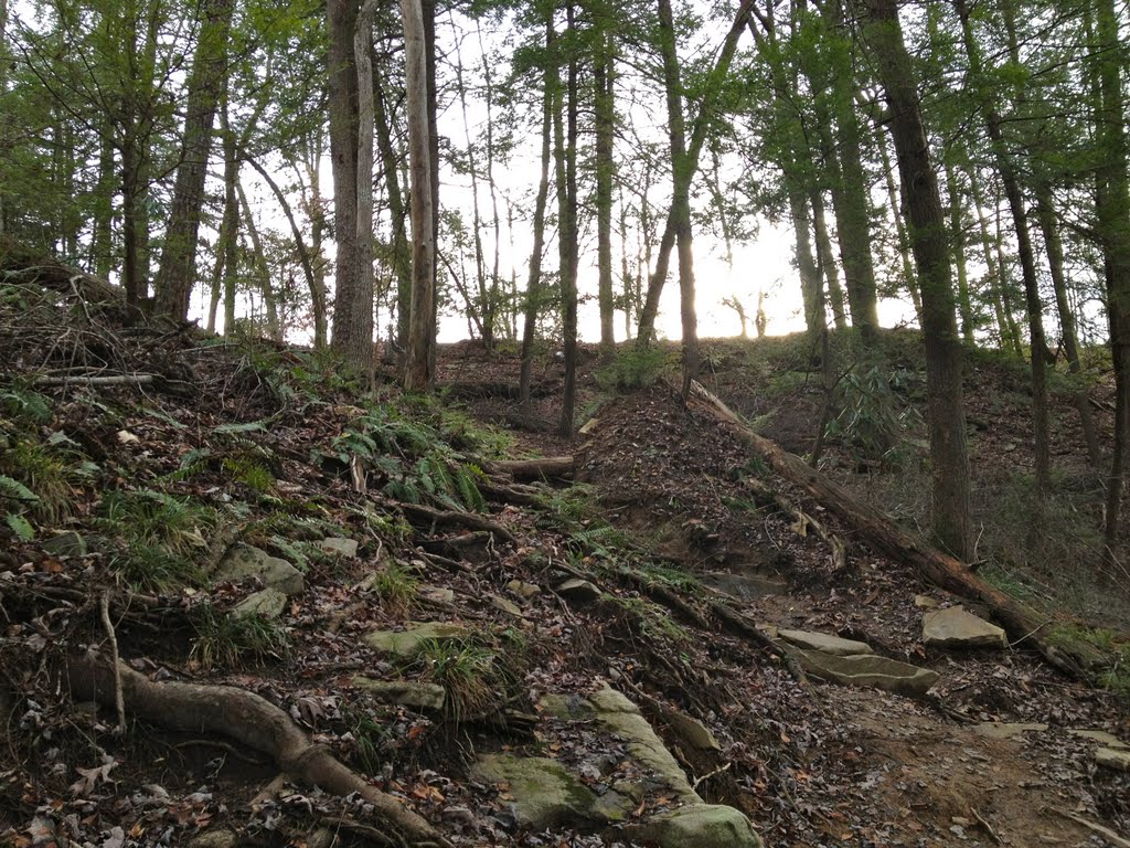 Access Trail to the Cable Trail by Jackson Reynolds