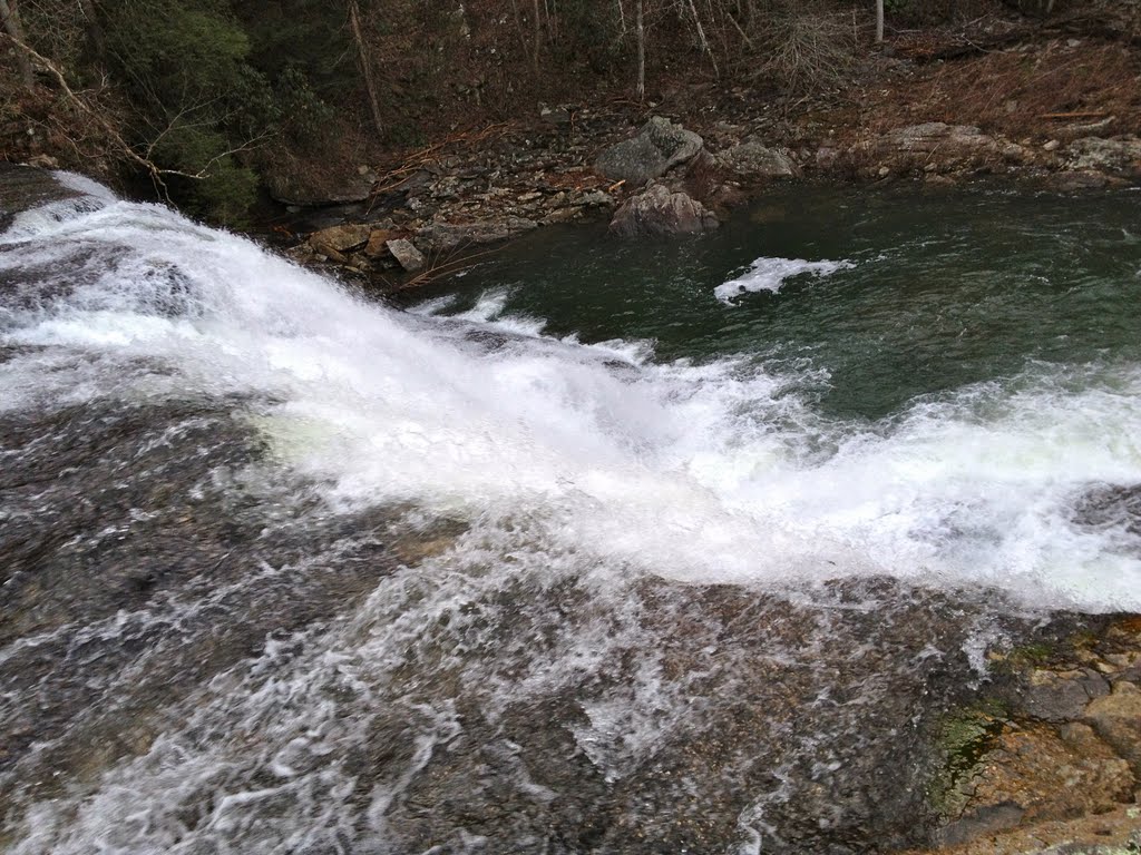 Cane Creek Cascades by Jackson Reynolds