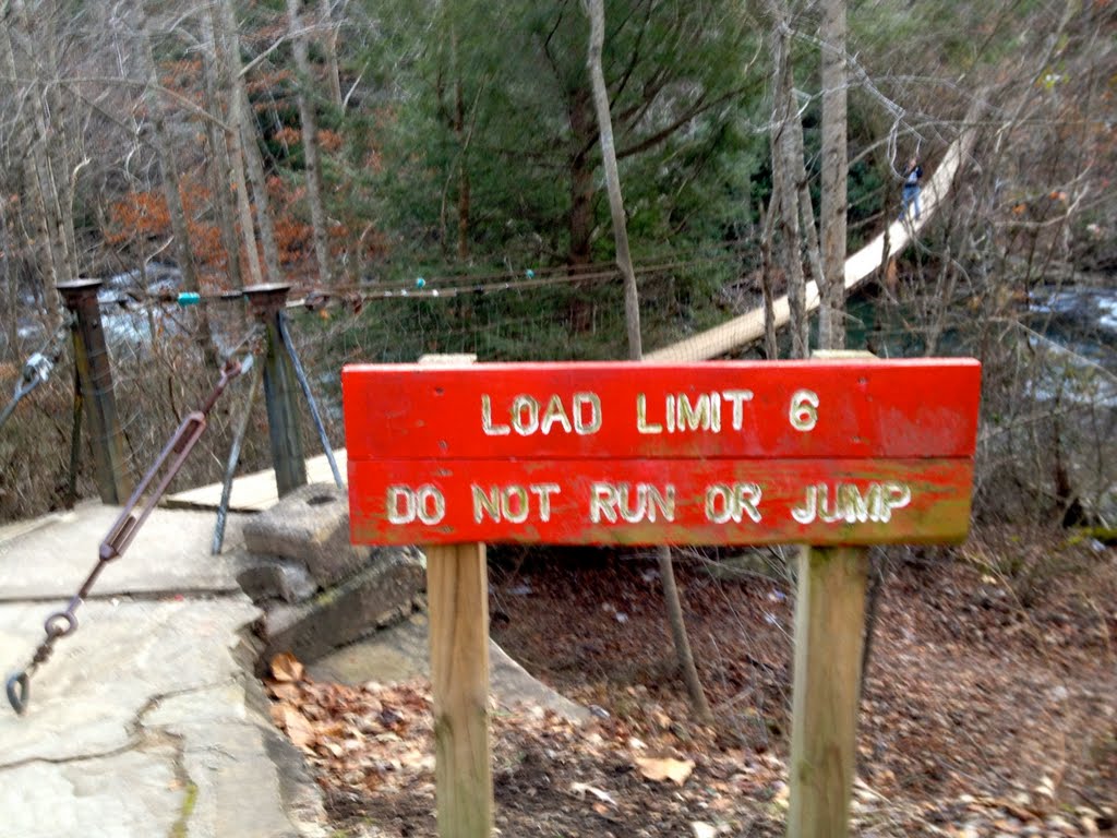 Cane Creek Cascades Swinging Bridge by Jackson Reynolds