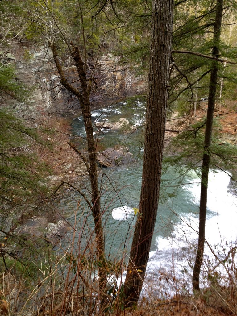 Cane Creek Cascades by Jackson Reynolds