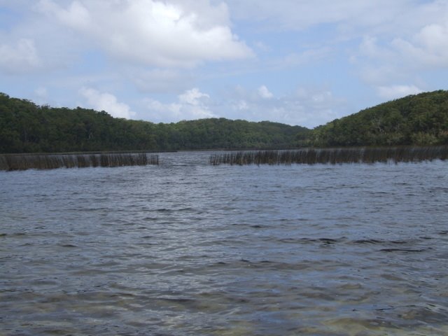 0620 Fraser Island, Lake Garawongera by Daniel Meyer