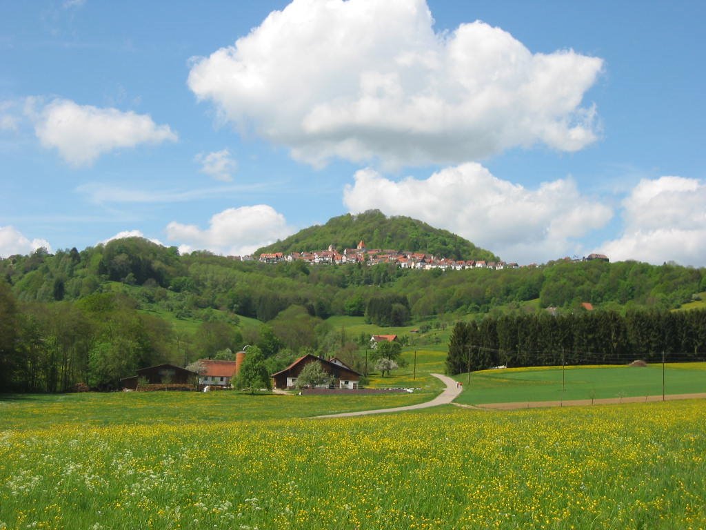 Hohenstaufen by AlterSchwede8