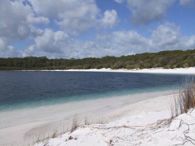 0629 Fraser Island, Lake McKenzie by Daniel Meyer