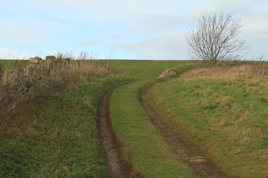 Footpath heading up to Ladle hill at Footpath to Ashley Warren by SBower