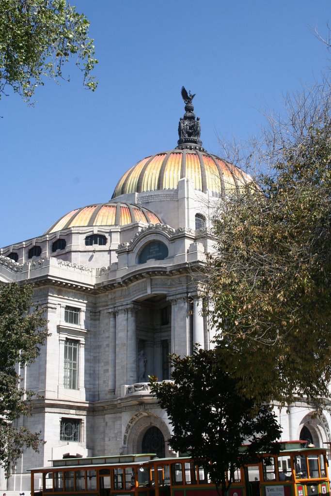 Palacio de Bellas Artes by Perro Boricua