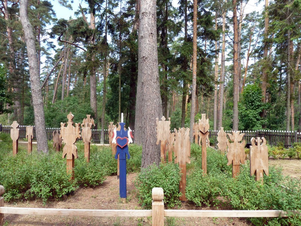 LITHUANIA, Nida: old wooden monuments at the cemetery, Curonian Spit by NellvdBoschLevendig