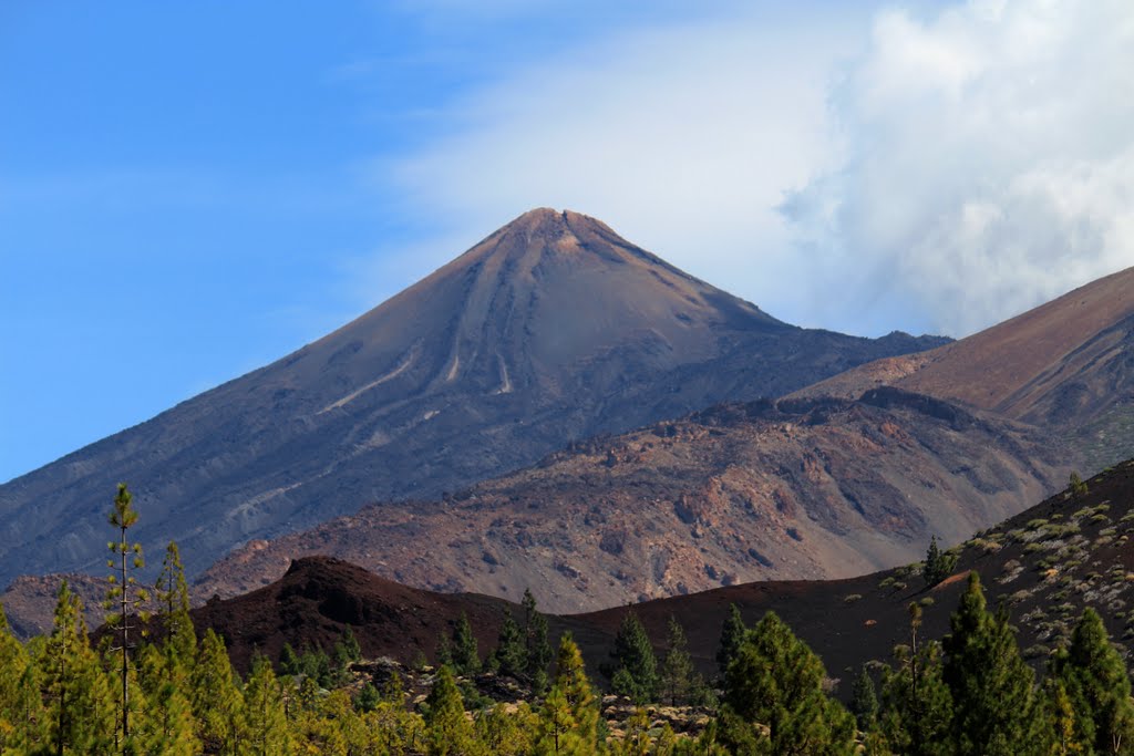 El Teide by Vitor Neves