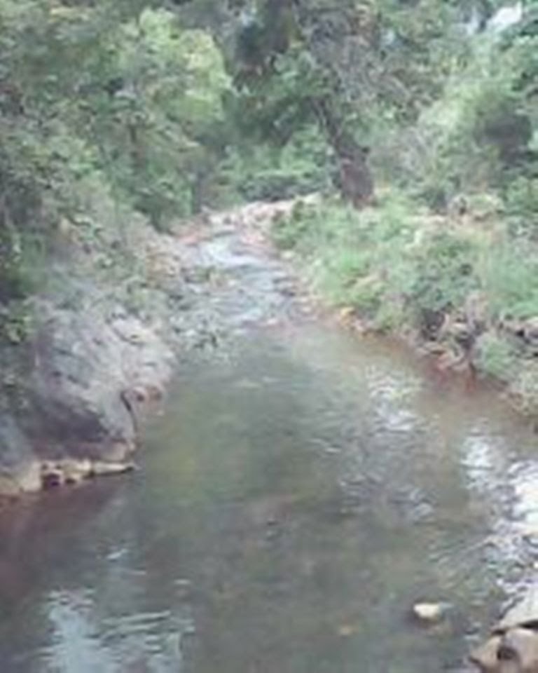 Puliyansolai falls(www.srisairamacademy.blogspot.com) by J ELANGOVAN