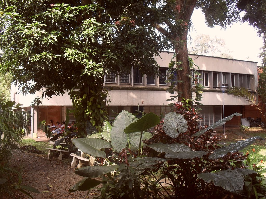 EDIFICIO 349 ESCUELA DE INGENIERÍA DE MATERIALES UNIVERSIDAD DEL VALLE CIUDAD UNIVERSITARIA DE MELÉNDEZ (Materials Engineering School 349 Building University Of Valle Melendez Headquarters) by Mayron Urquijo Patiñ…