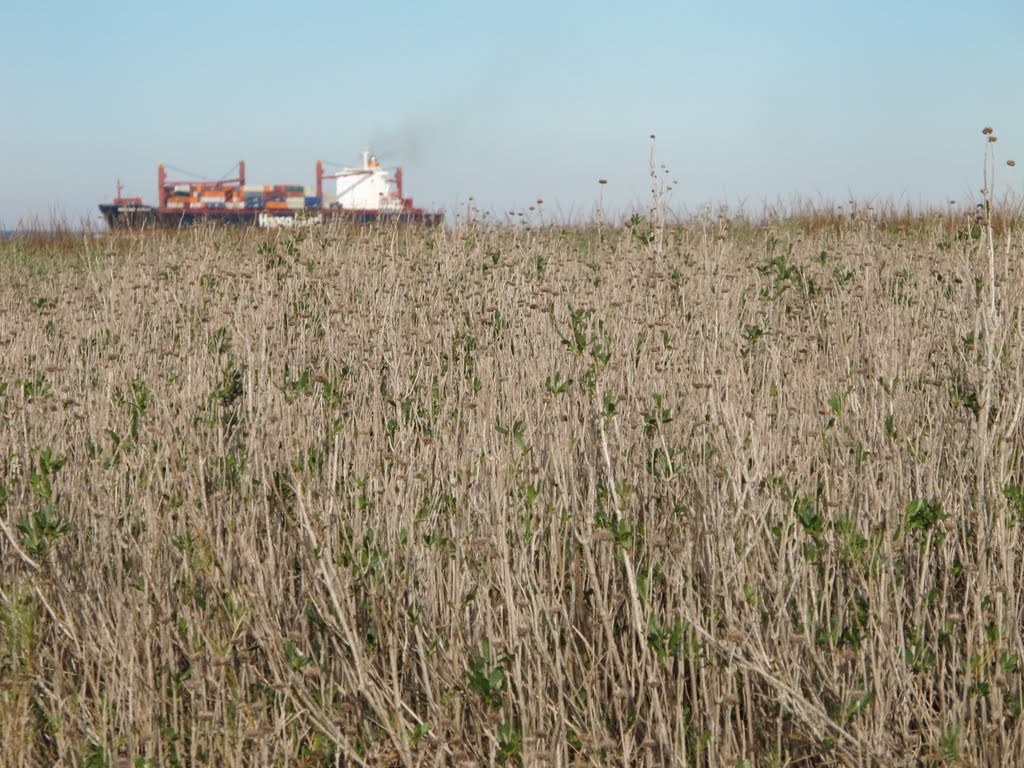 Prairie ship by JSummerlin