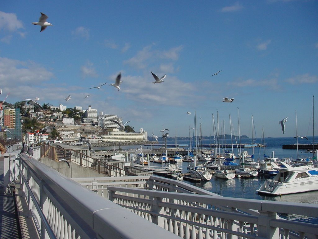 Atami Seaside (SPA MARINA) by Fujisan