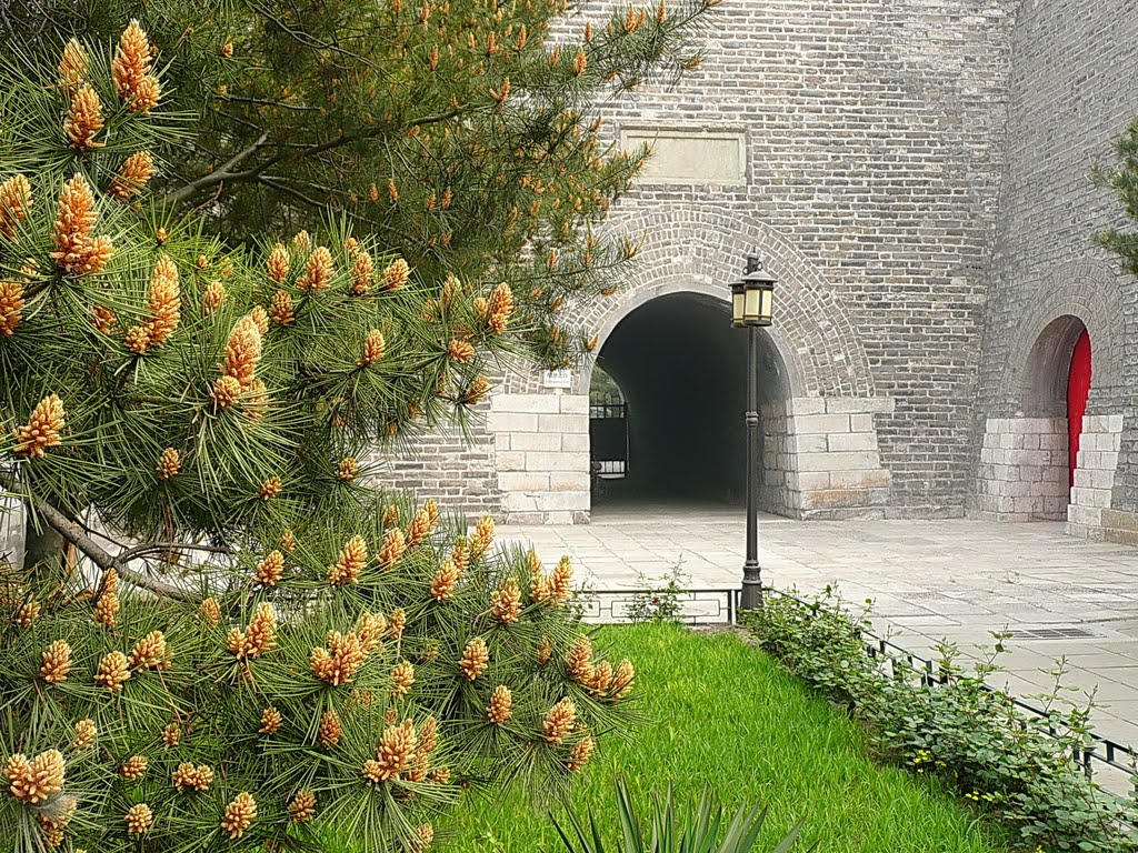 北京古觀象臺 Beijing Ancient Observatory by deekew