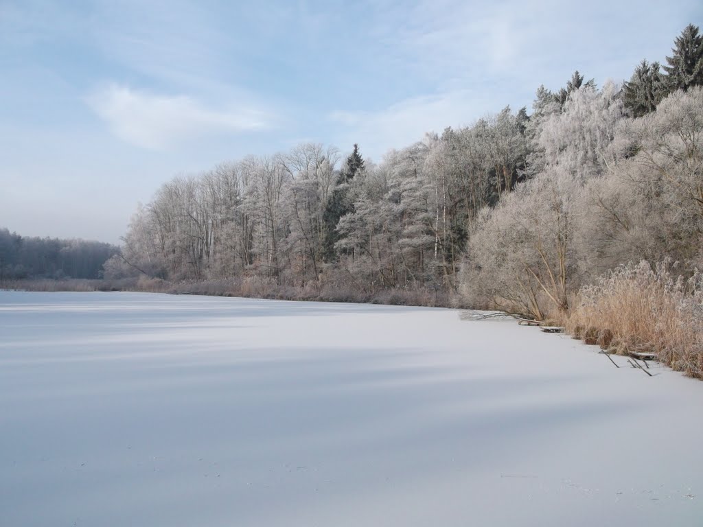 Staw zimą by ketrab