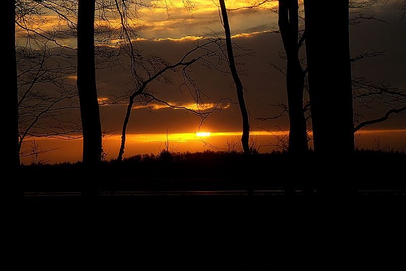 Zonsopkomst Ginkelse Heide, Ede by Peter van de Haar