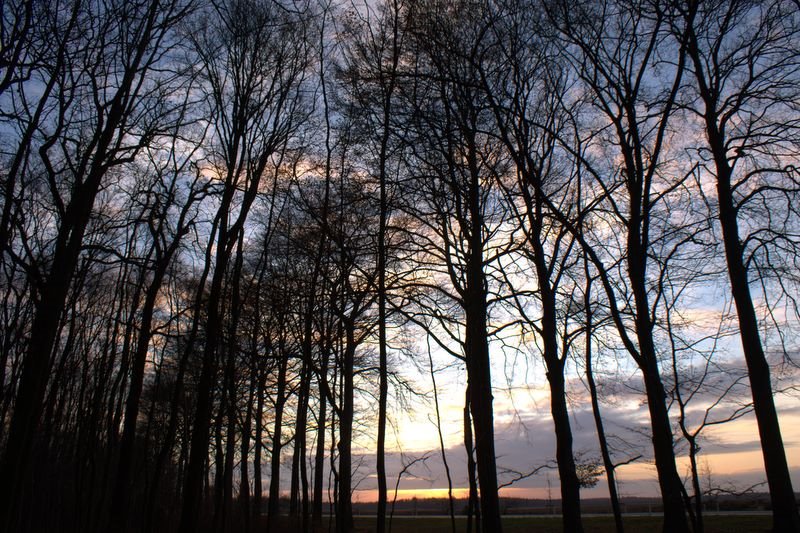 Zonsopkomst Ginkelse Heide, Ede by Peter van de Haar