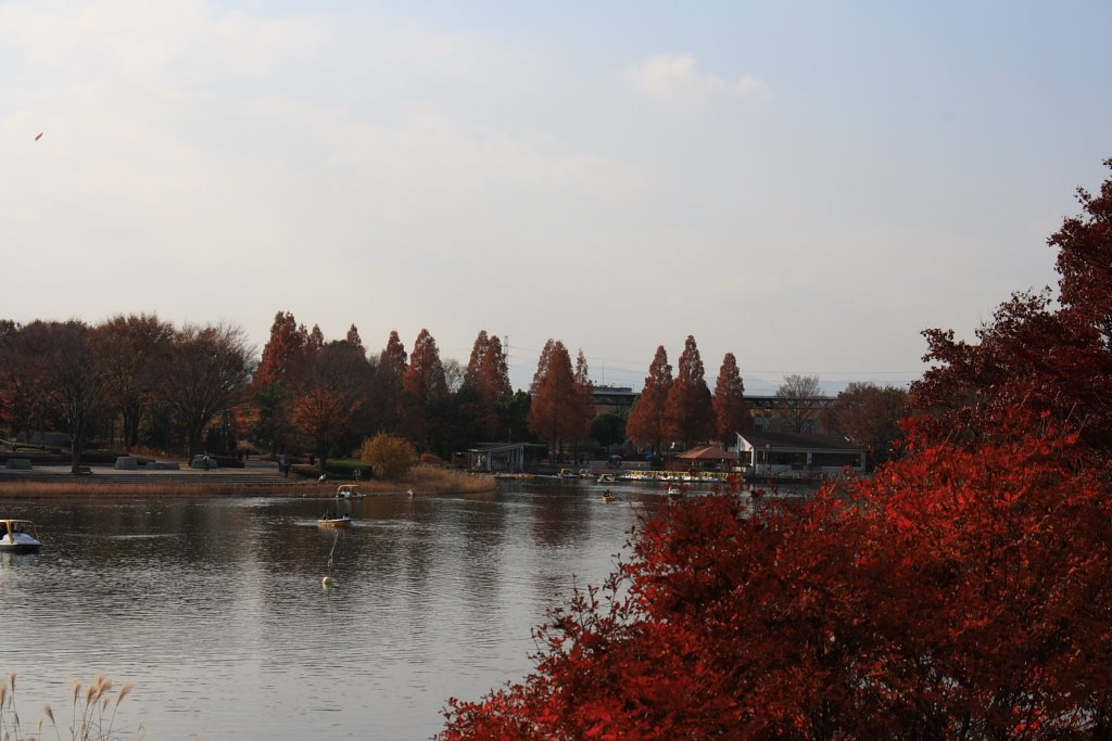 Bird Lake by Eric M. Chen