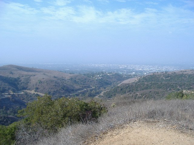 Fire road near Turnbull Canyon, CA by Luis Maturana